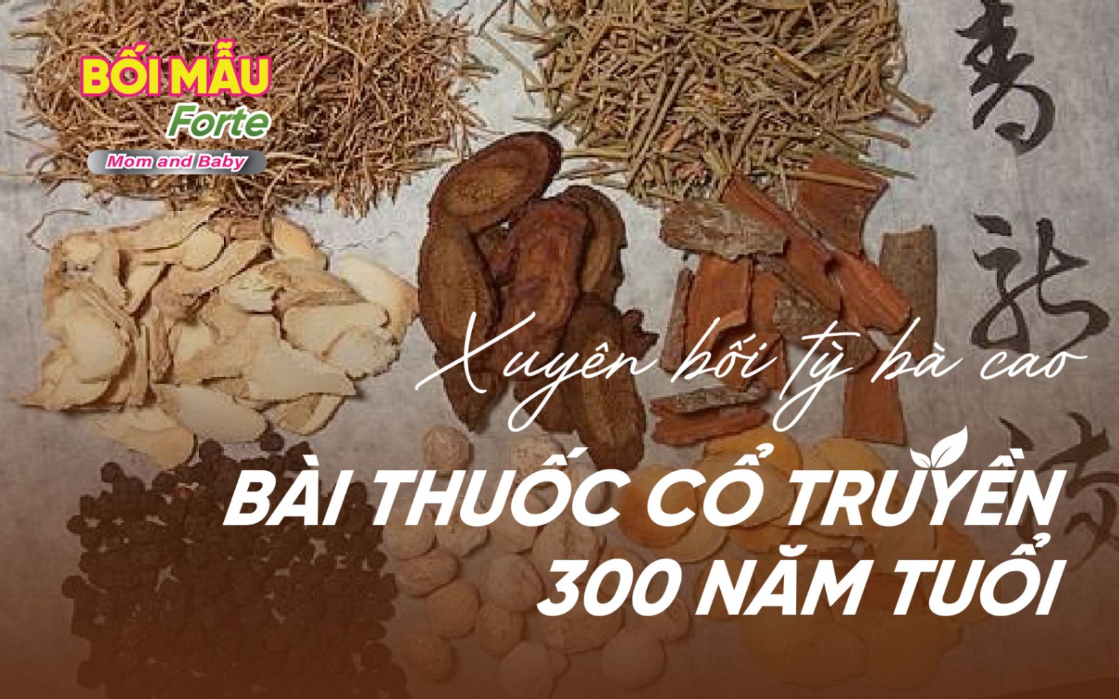 Xuyên bối tỳ bà cao - Bài thuốc cổ truyền trị ho 300 năm tuổi