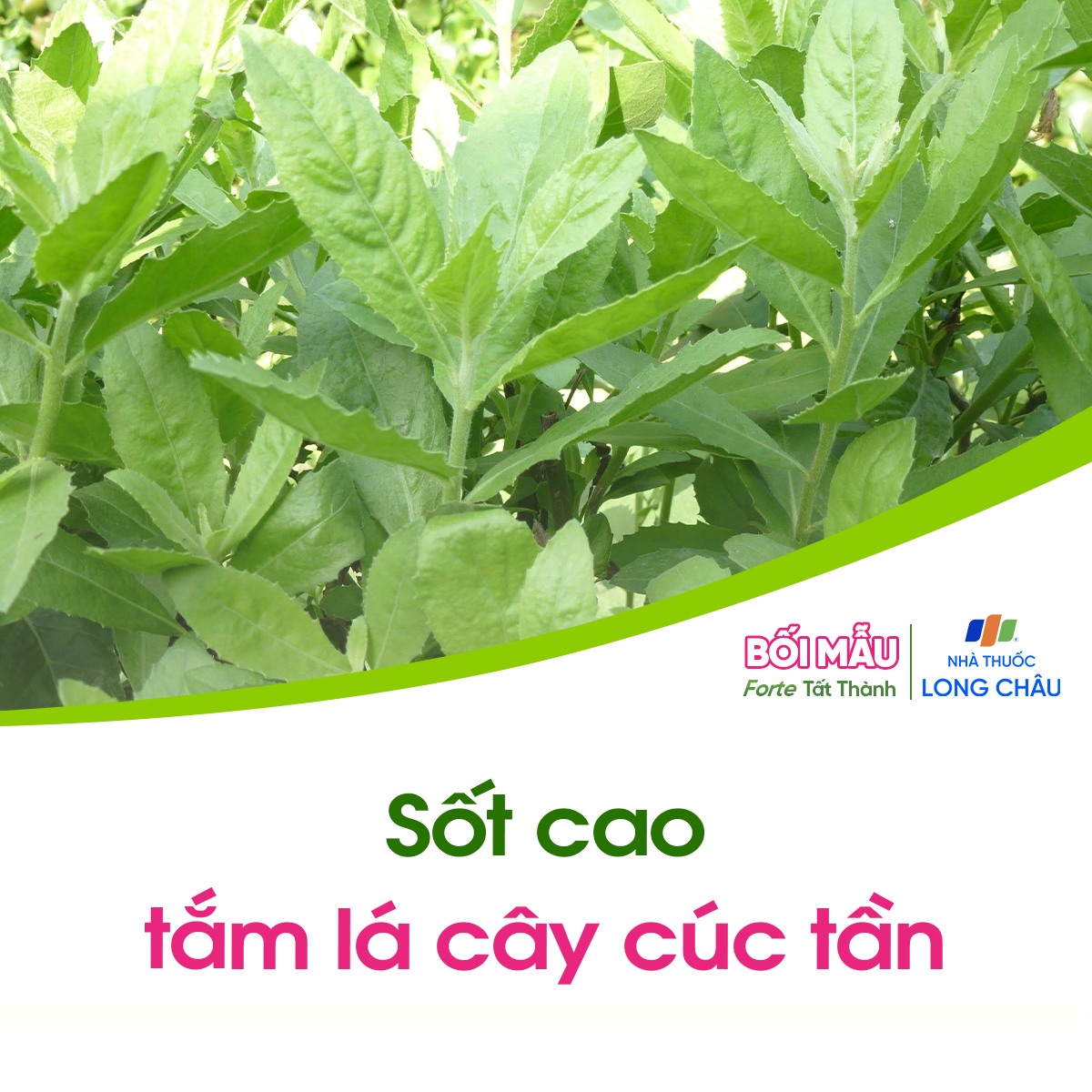 9-cong-thuc-dan-gian-tam-ngam-chuom-giup-giam-kho-chiu-thuong-gap_meo-dan-gian-1.jpg