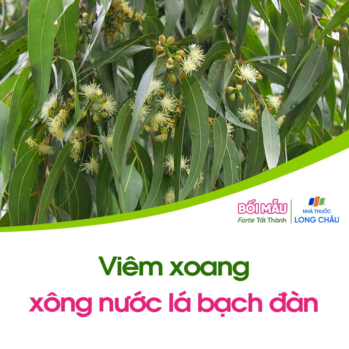 9-cong-thuc-dan-gian-tam-ngam-chuom-giup-giam-kho-chiu-thuong-gap_meo-dan-gian-3.jpg