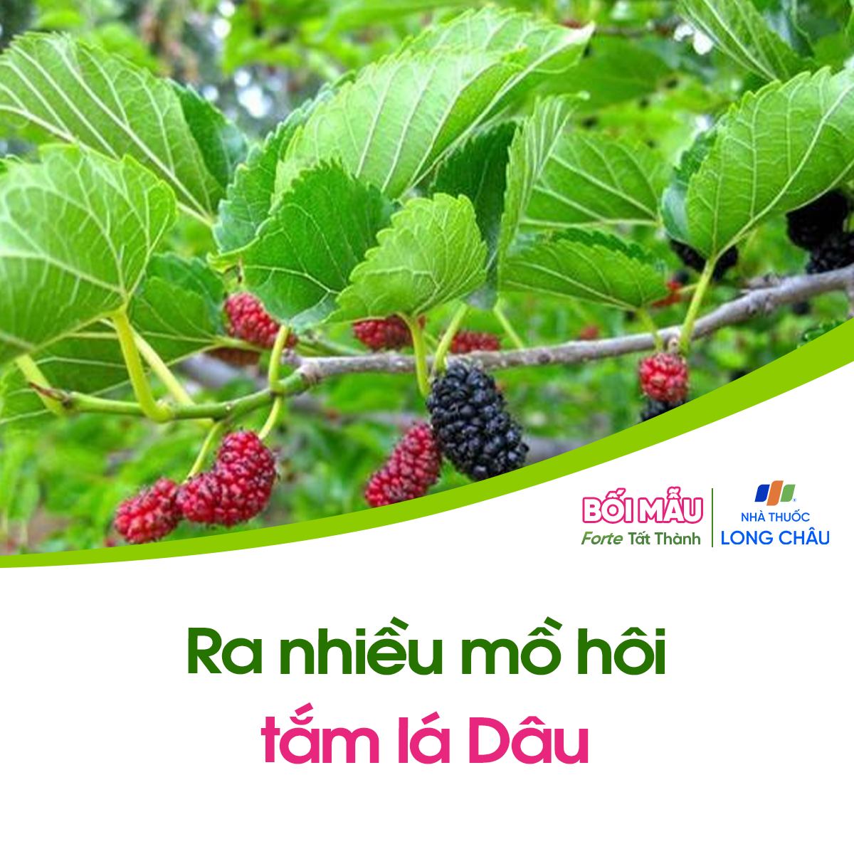 9 công thức dân gian tắm – ngâm – chườm giúp giảm khó chịu thường gặp