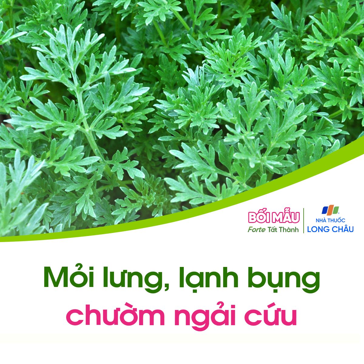 9-cong-thuc-dan-gian-tam-ngam-chuom-giup-giam-kho-chiu-thuong-gap_meo-dan-gian-5.jpg