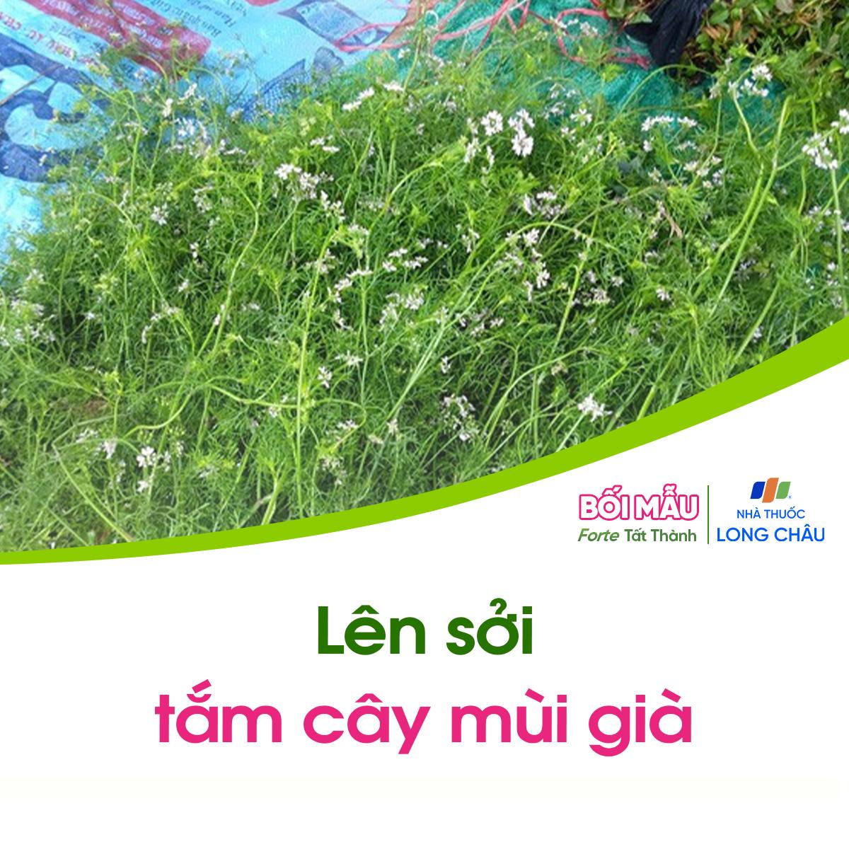 9-cong-thuc-dan-gian-tam-ngam-chuom-giup-giam-kho-chiu-thuong-gap_meo-dan-gian-6.jpg