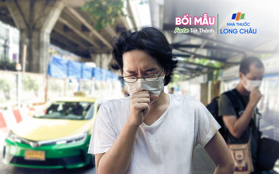 Ho do khói bụi, ô nhiễm không khí: Giải pháp hỗ trợ từ thảo dược