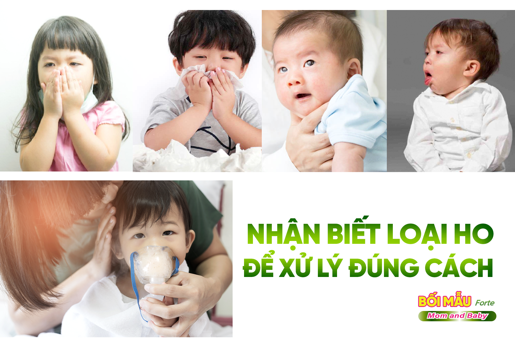 cach-nhan-biet-cac-loai-ho