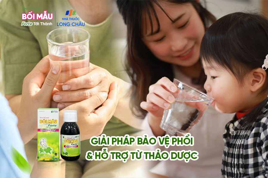 Ho-do-khoi-bui-o-nhiem-khong-khi-Giai-phap-ho-tro-tu-thao-duoc-2.jpg