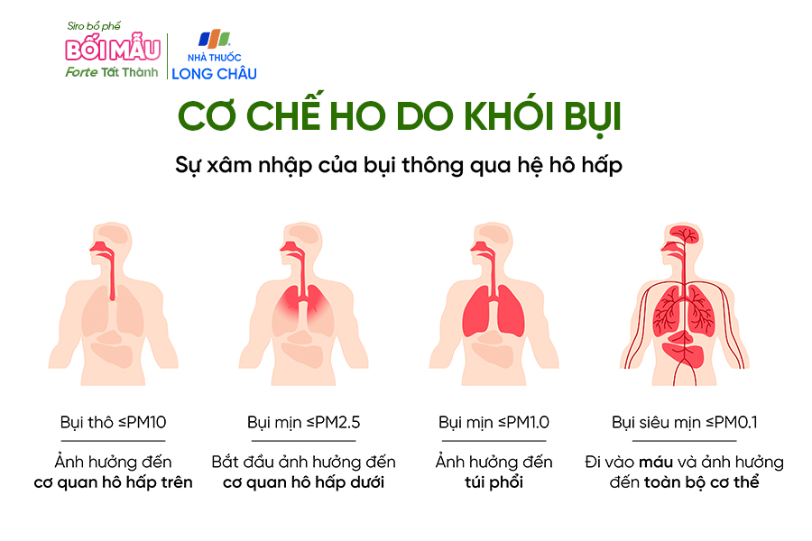Ho-do-khoi-bui-o-nhiem-khong-khi-Giai-phap-ho-tro-tu-thao-duoc-3.jpg