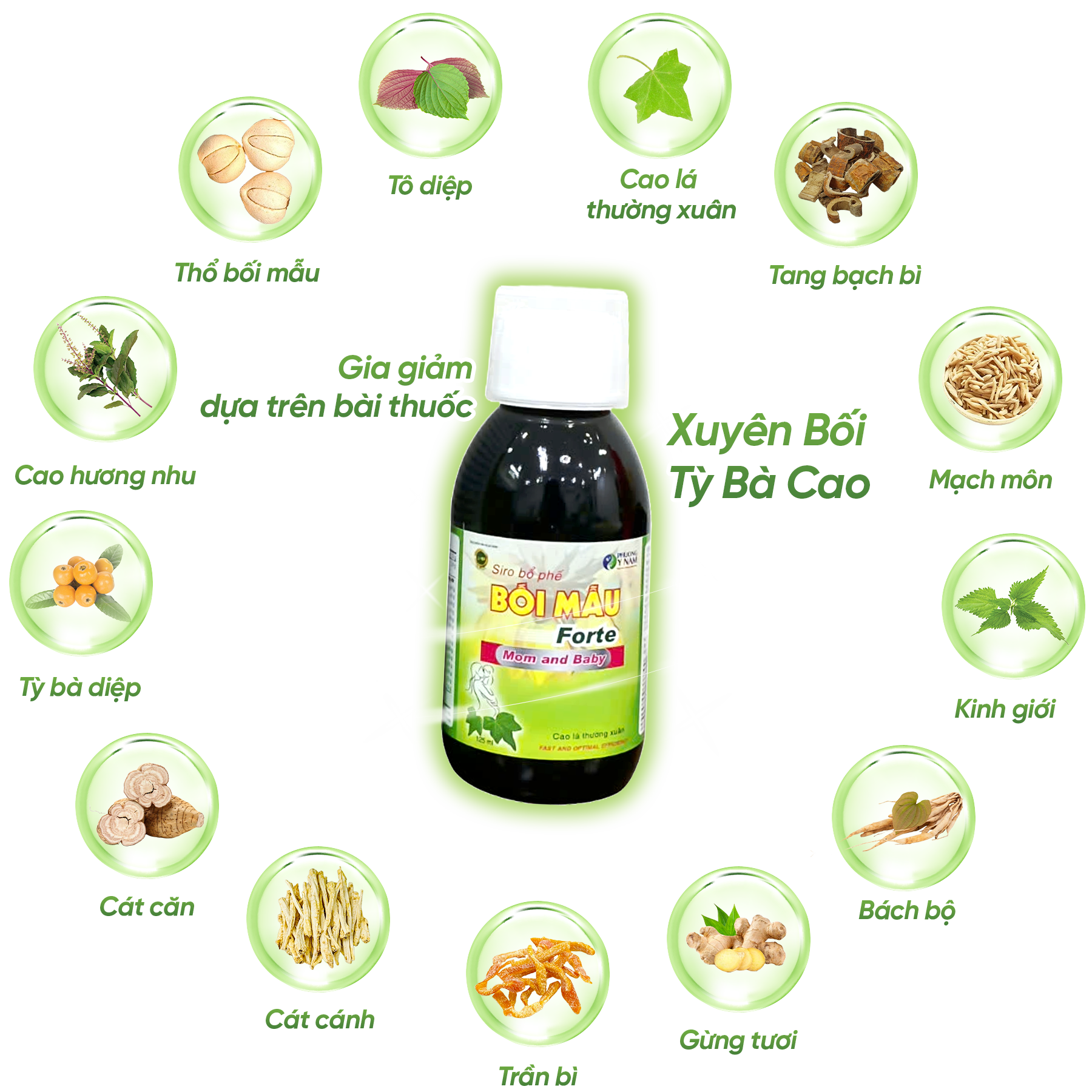 Banner dưới trang chủ