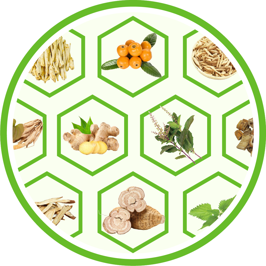 Ứng dụng bài thuốc ho đông y cổ truyền