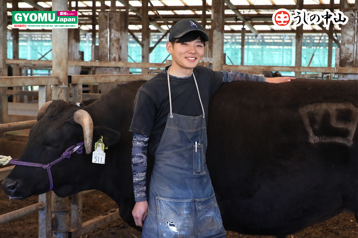 Nakayama-Wagyu-Tinh-Hoa-Am-Thuc-Nhat-Ban-Co-Gi-Dac-Biet-Hon-Thit-Bo-Thuong-_Blog-Gyomu-Japan-Nakayama-Wagyu-khac-gi-so-voi-thit-bo-thong-thuong-1.jpg