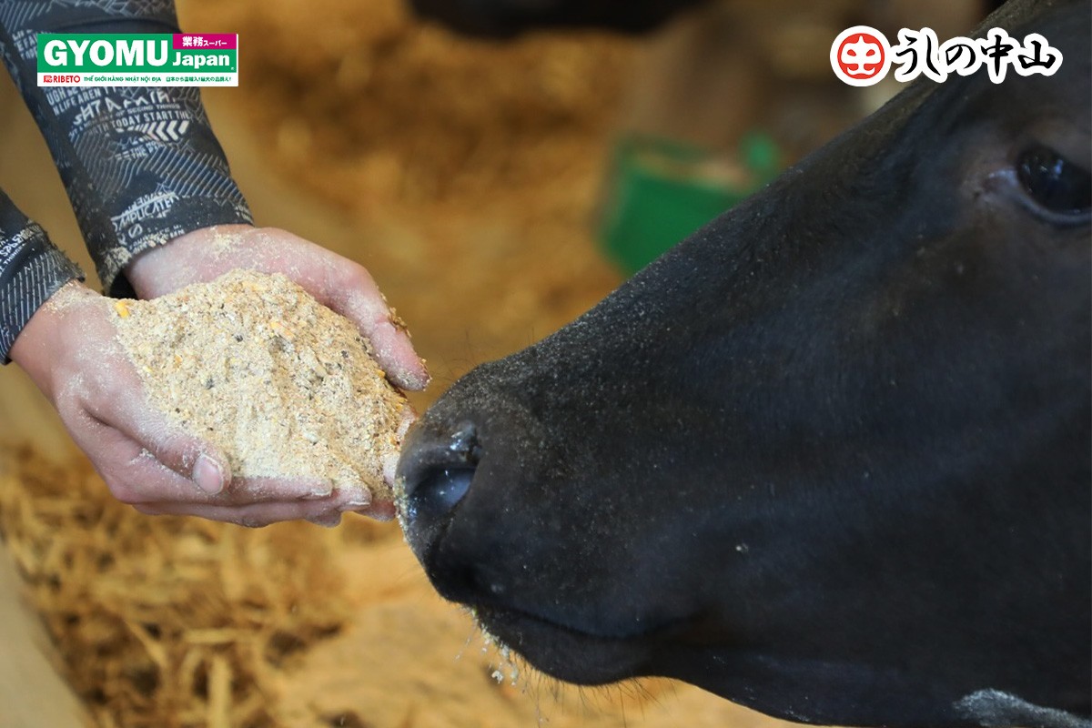 Nakayama-Wagyu-Tinh-Hoa-Am-Thuc-Nhat-Ban-Co-Gi-Dac-Biet-Hon-Thit-Bo-Thuong-_Blog-Gyomu-Japan-Nakayama-Wagyu-khac-gi-so-voi-thit-bo-thong-thuong-2.jpg