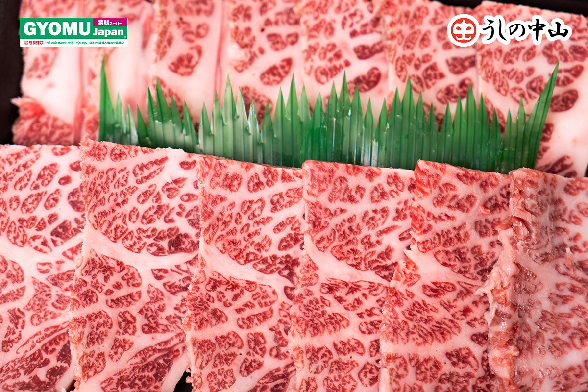 Nakayama-Wagyu-Tinh-Hoa-Am-Thuc-Nhat-Ban-Co-Gi-Dac-Biet-Hon-Thit-Bo-Thuong-_Blog-Gyomu-Japan-Nakayama-Wagyu-khac-gi-so-voi-thit-bo-thong-thuong-3-1.jpg
