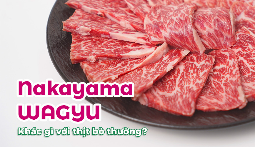 Nakayama Wagyu: Tinh Hoa Ẩm Thực Nhật Bản Có Gì Đặc Biệt Hơn Thịt Bò Thường?