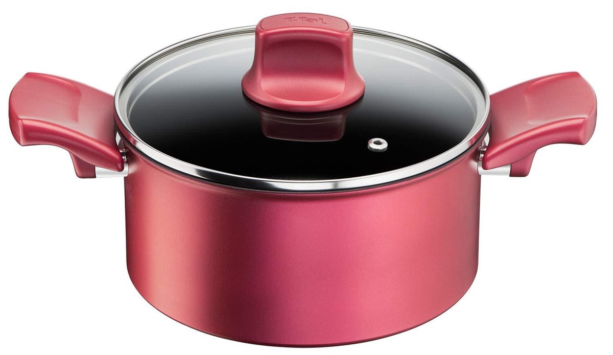 T-FAL_Nồi nấu hầm không dùng điện 20cm