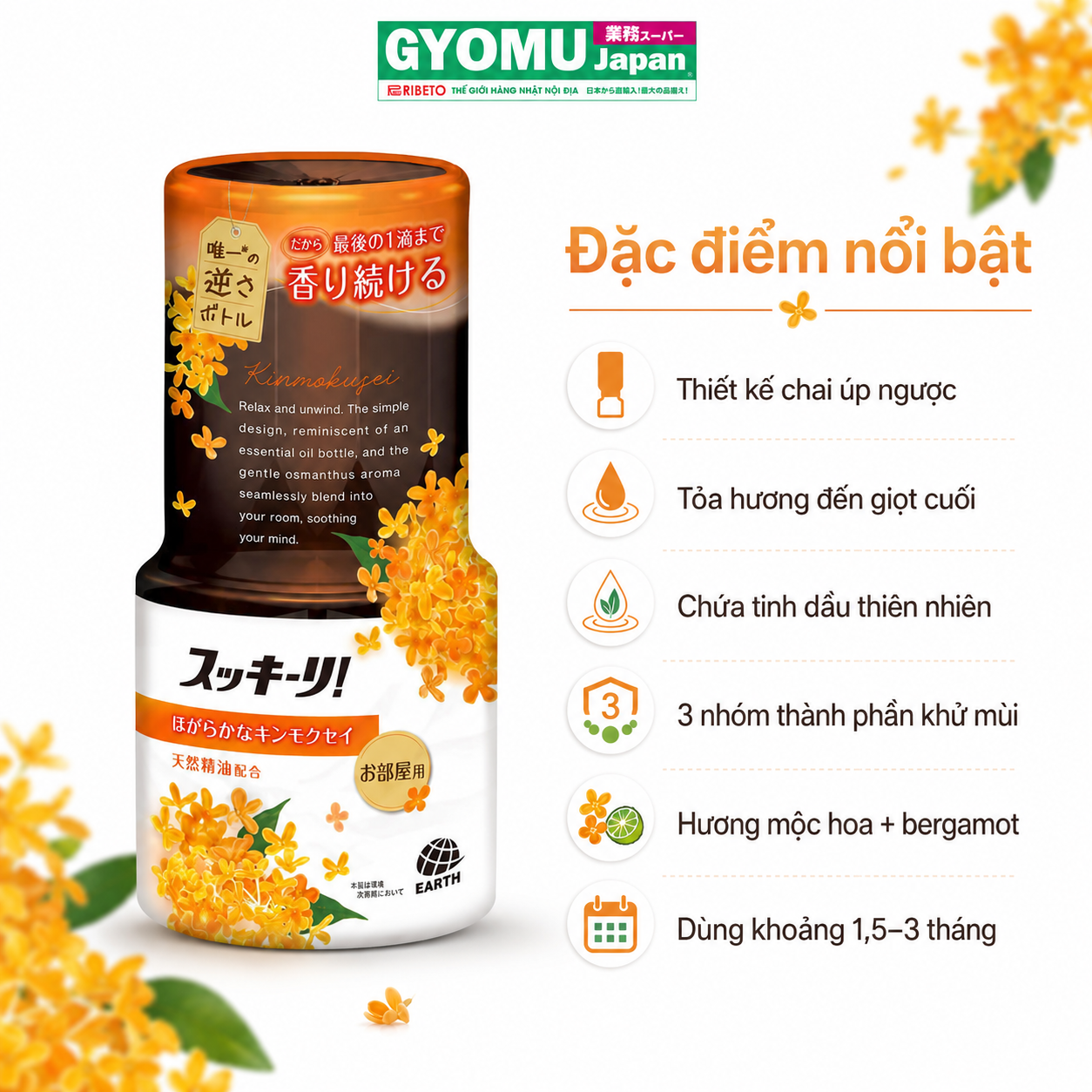ChatGPT Image 08_40_01 14 thg 8, 2026 (2).png