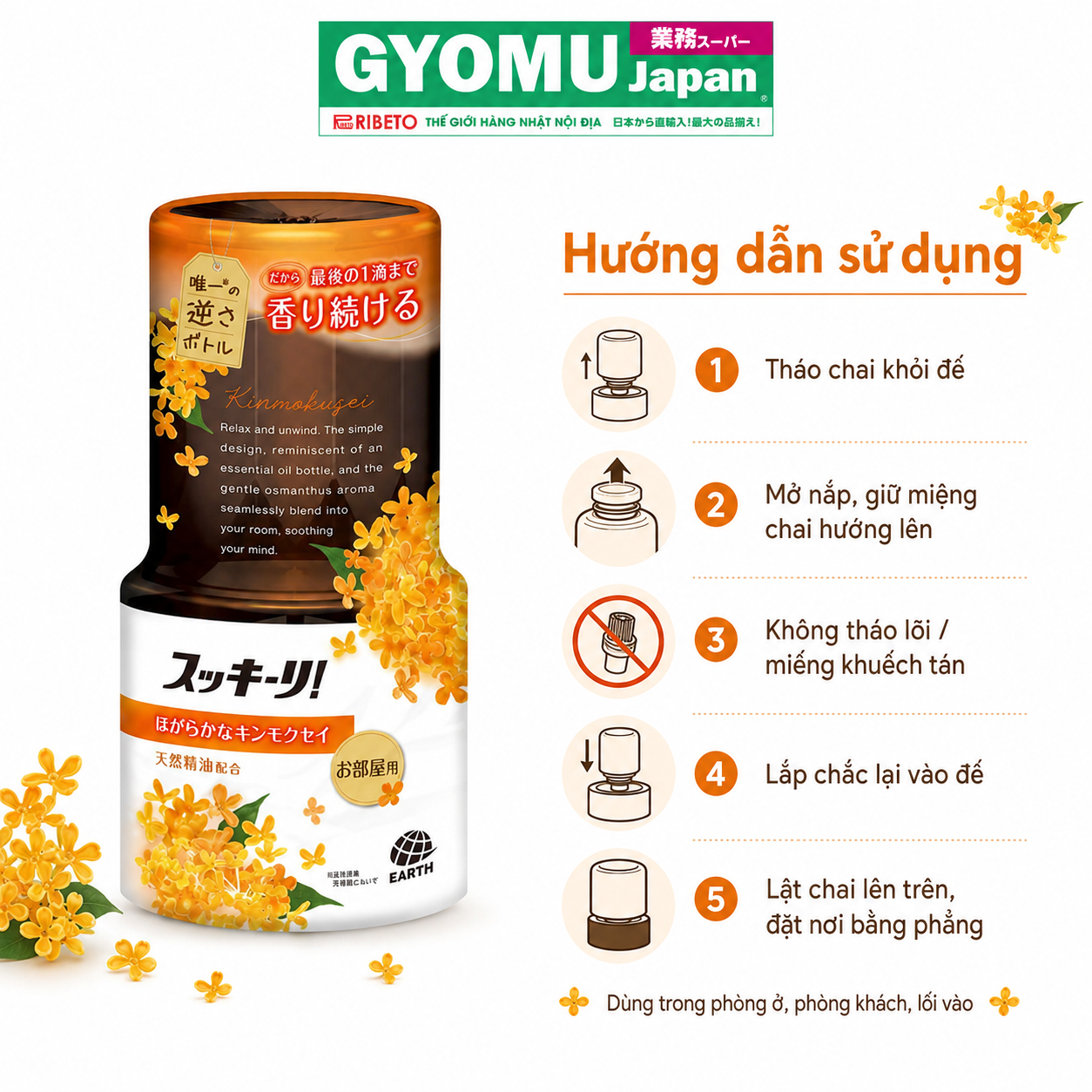 ChatGPT Image 08_40_01 14 thg 8, 2026 (3).png