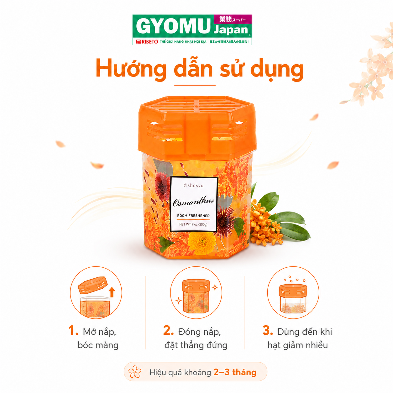 ChatGPT Image 09_47_16 18 thg 8, 2026 (6).png