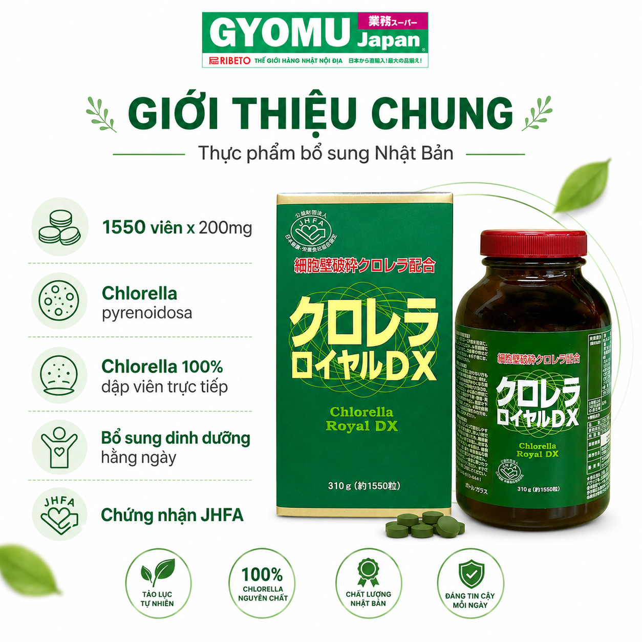 ChatGPT Image 10_14_13 16 thg 7, 2026 (1).png