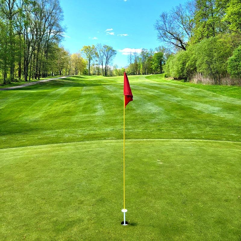 Muốn set up một sân tập golf thành công cần những gì?