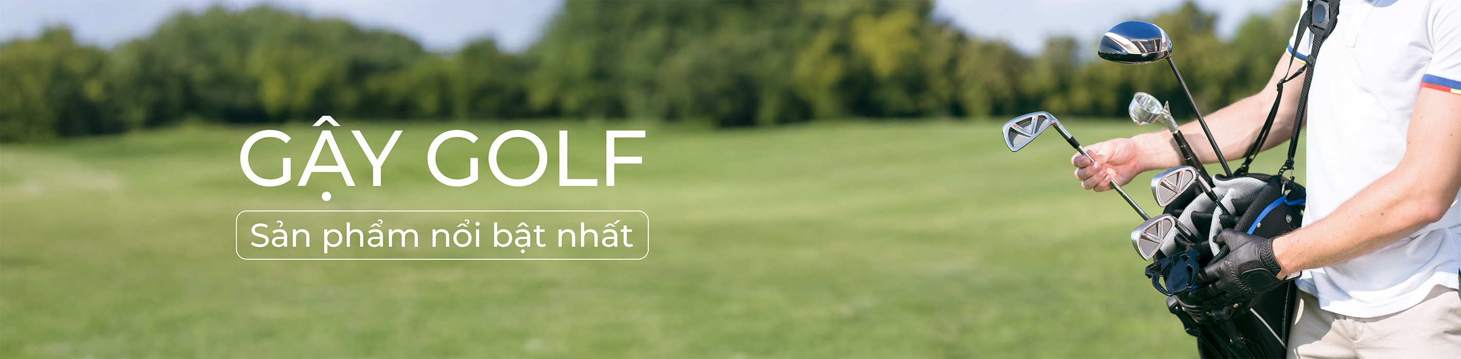 Gậy Golf Gậy Golf