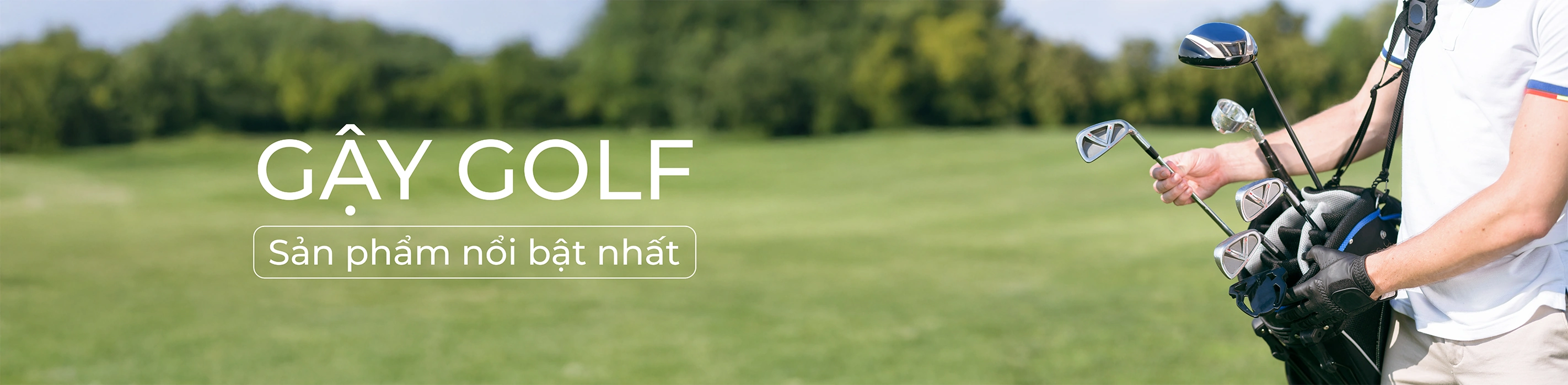Gậy Golf Gậy Golf