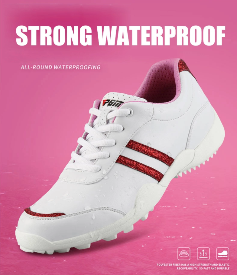 20250120_e8m1xUA4.png