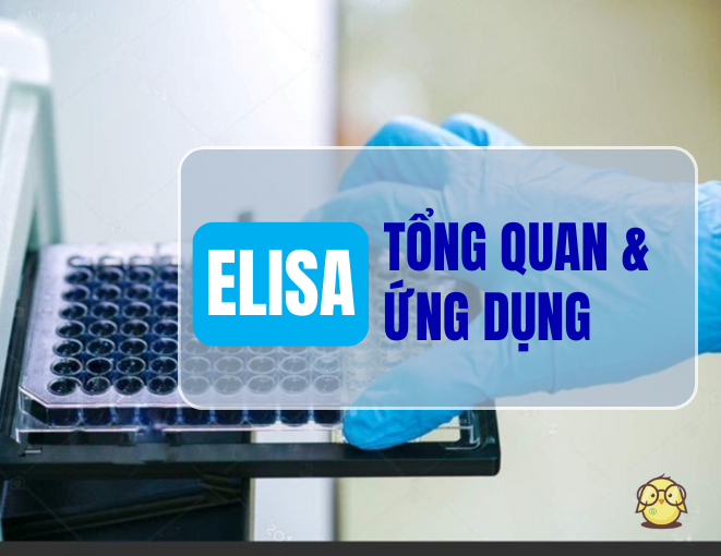 ELISA - TỔNG QUAN & ỨNG DỤNG