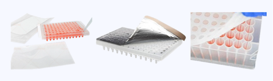 PCR-va-qPCR-Lua-chon-vat-tu-thi-nghiem-phu-hop-nhu-the-nao--7.png
