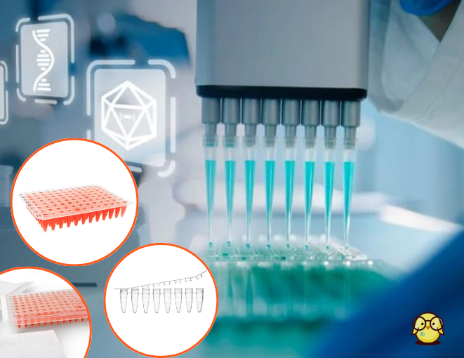 PCR và qPCR: Lựa chọn vật tư thí nghiệm phù hợp như thế nào?