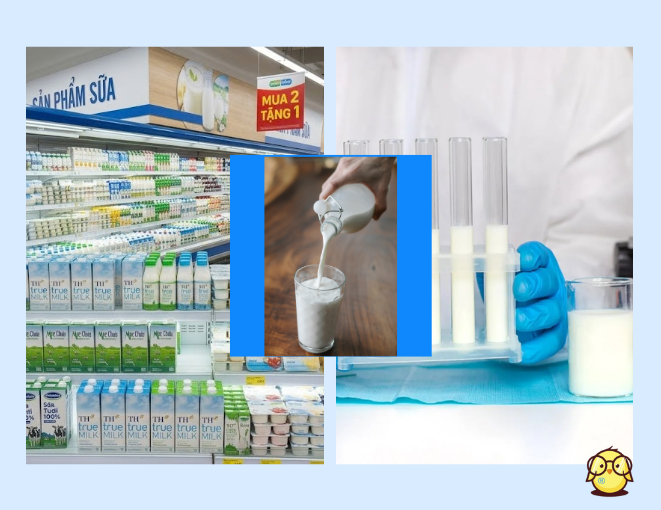 Sản xuất sữa – Ngành công nghiệp tỷ đô