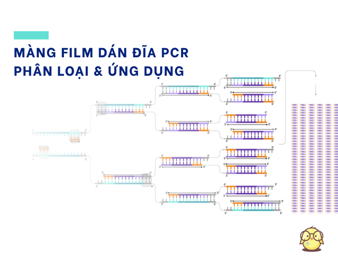 Tại sao màng film dán đĩa PCR lại cần thiết?
