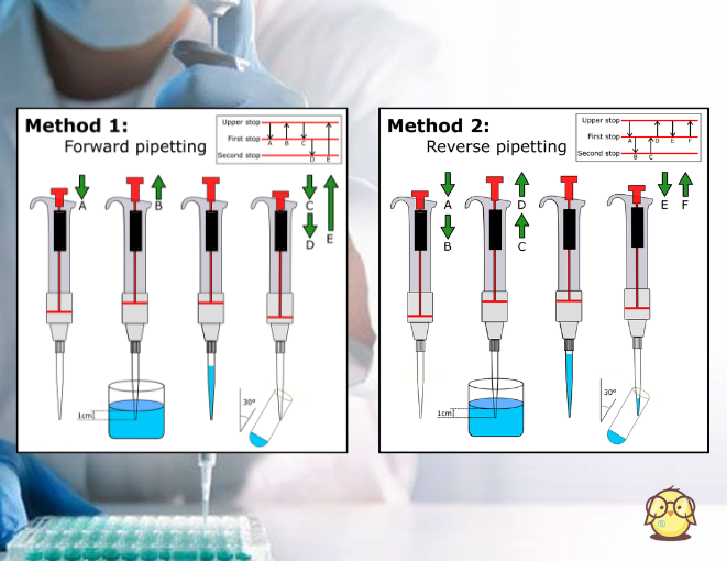 Thao tác với pipet thủ công như thế nào?