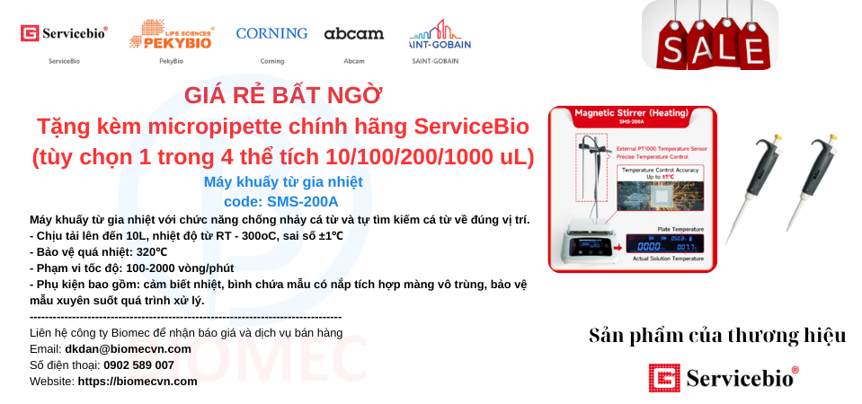 KM Máy khuấy từ gia nhiệt