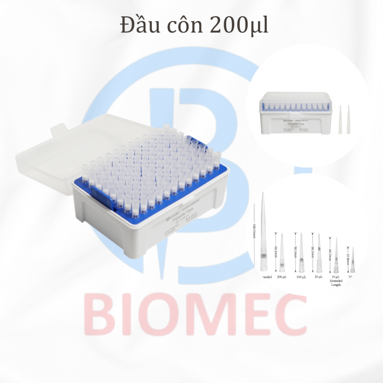 Đầu côn 200ul