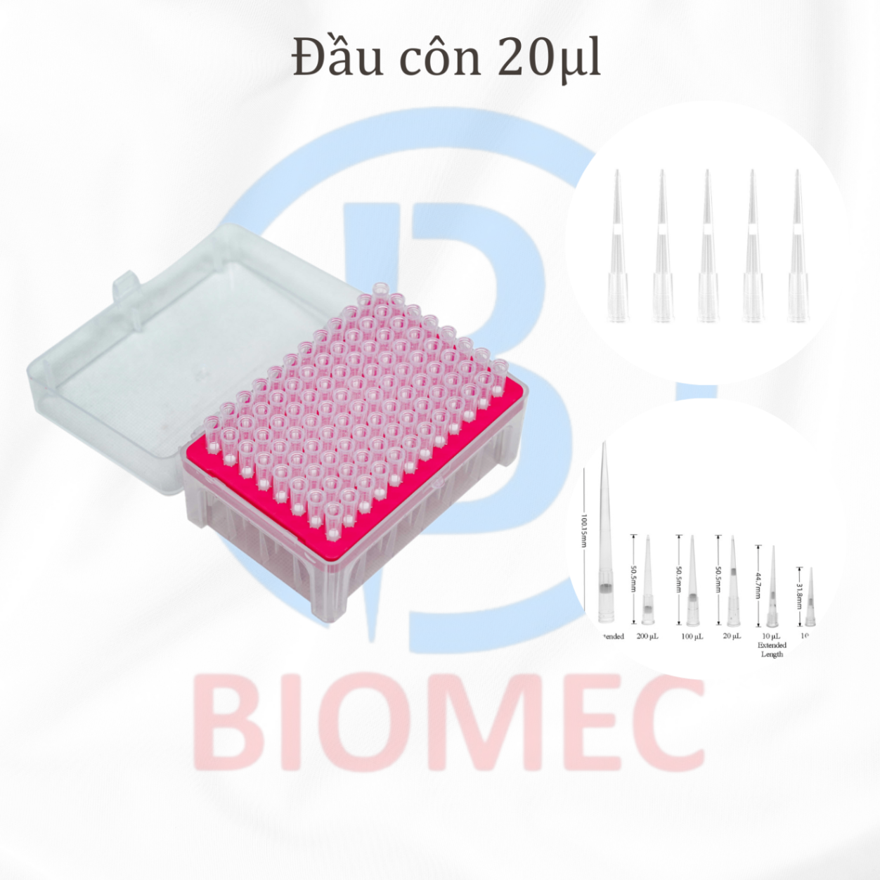 Đầu côn 20ul