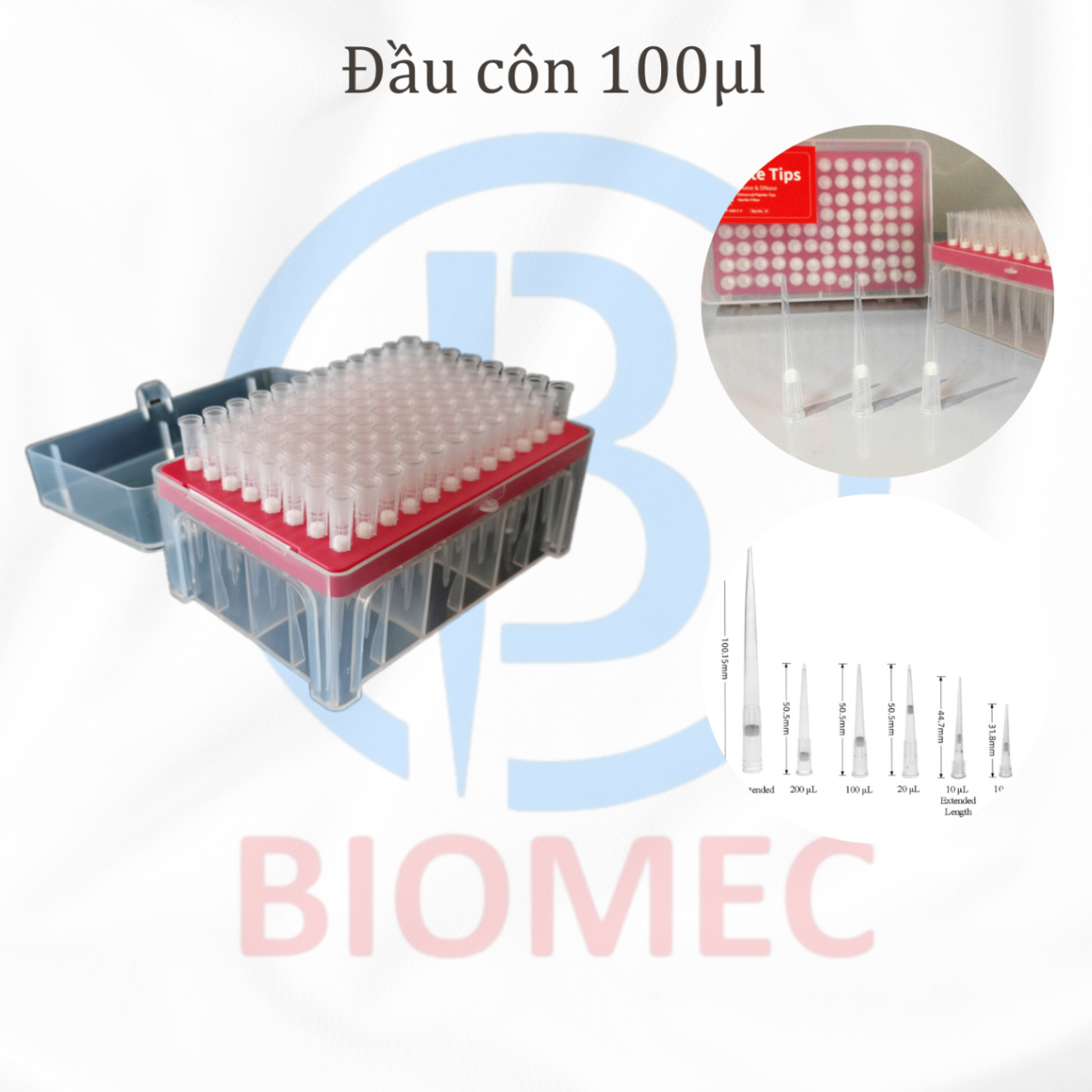 Đầu côn 100ul