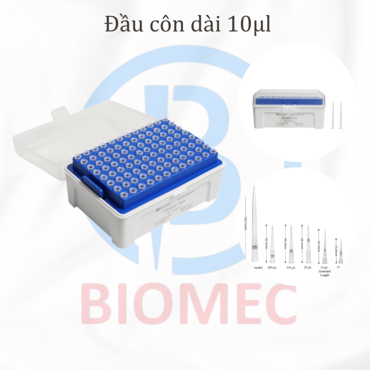 Đầu côn dài 10ul