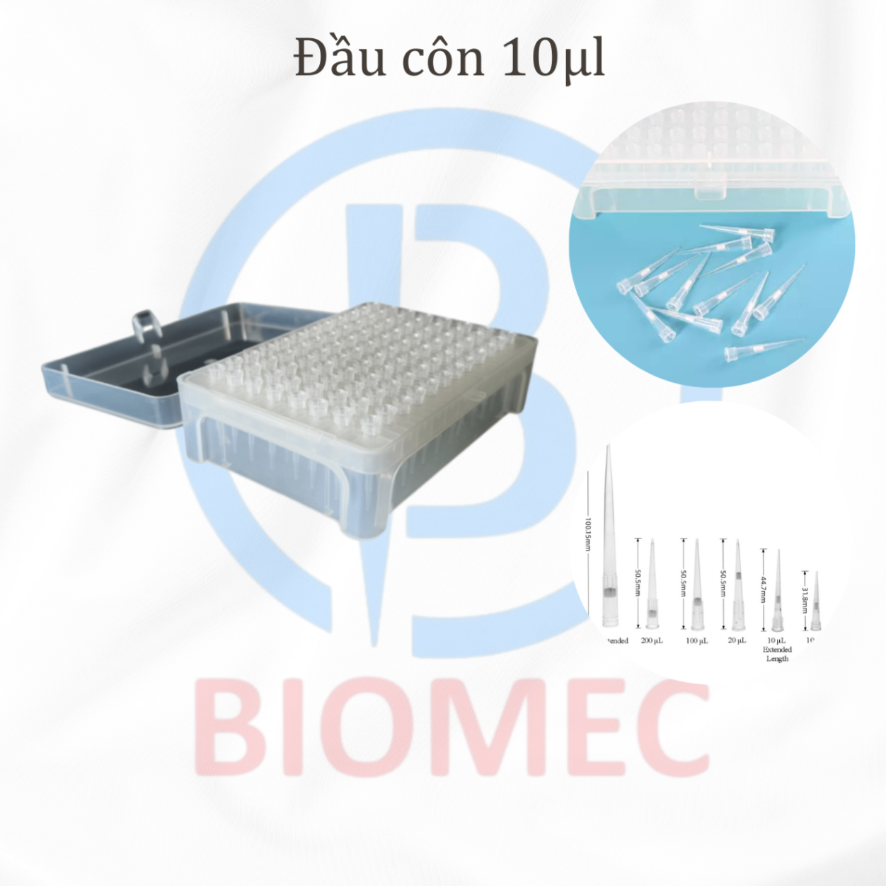 Đầu côn 10ul