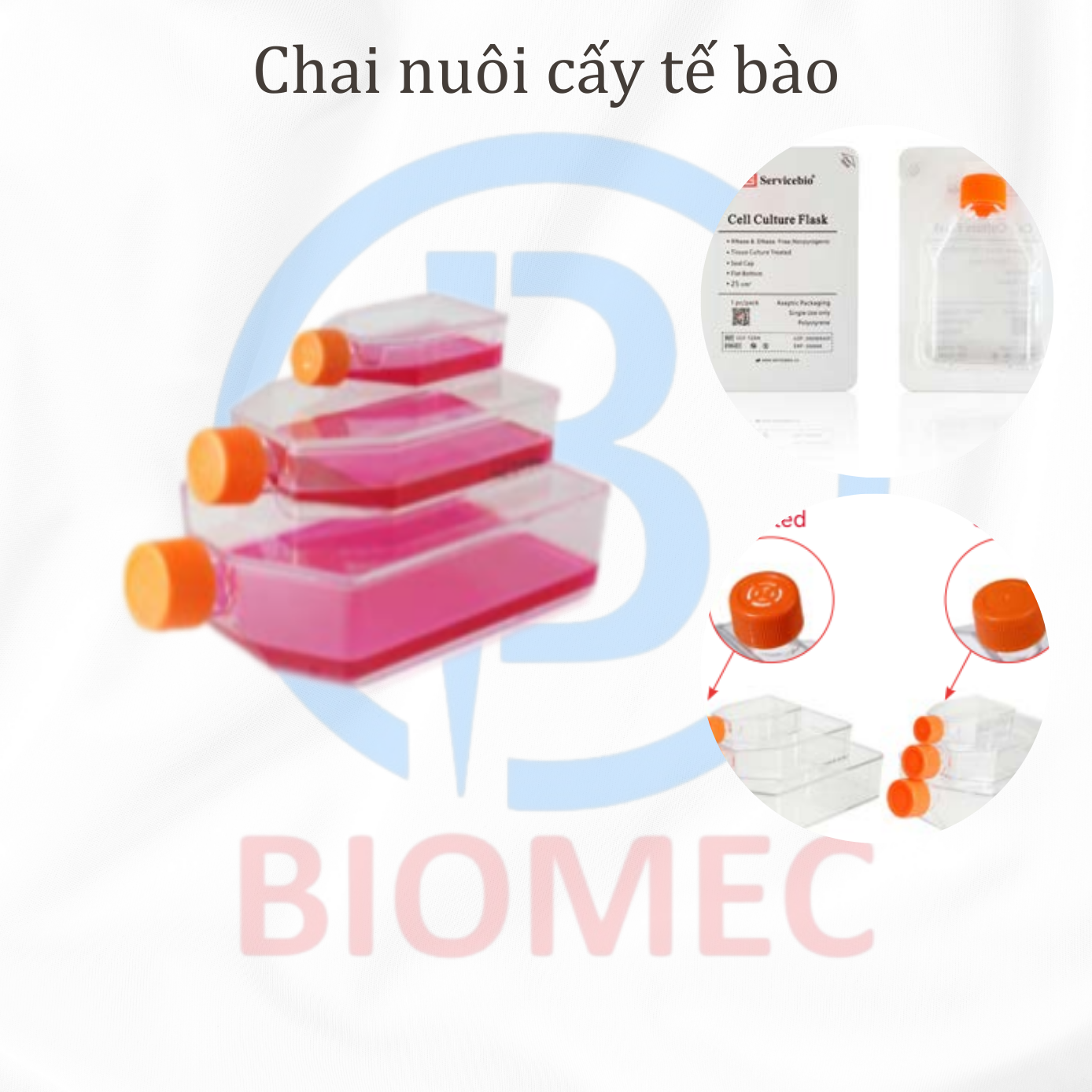 Chai nuôi cấy tế bào