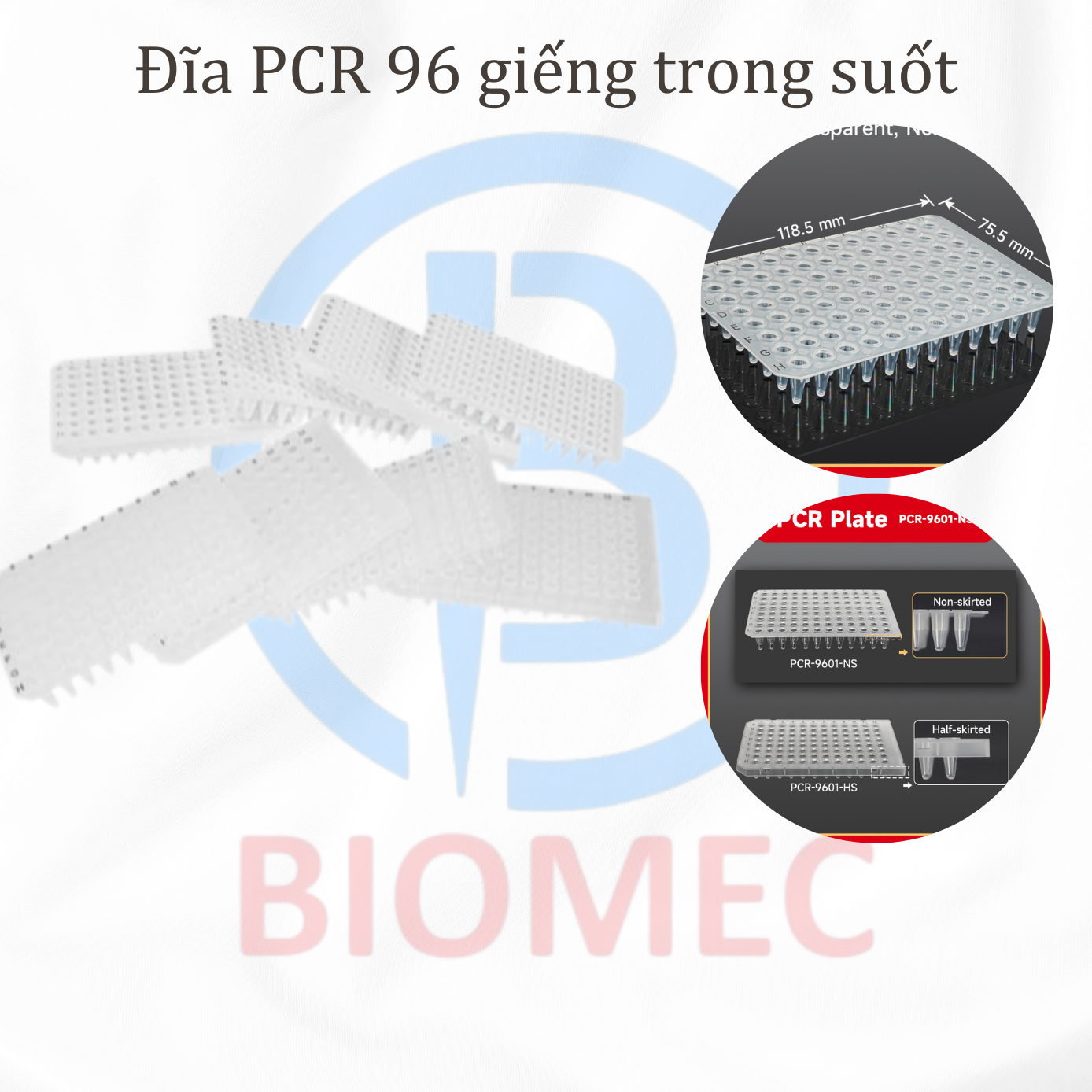Đĩa PCR 96 giếng