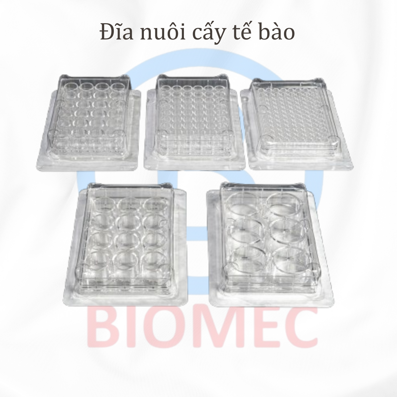 Đĩa nuôi cấy tế bào