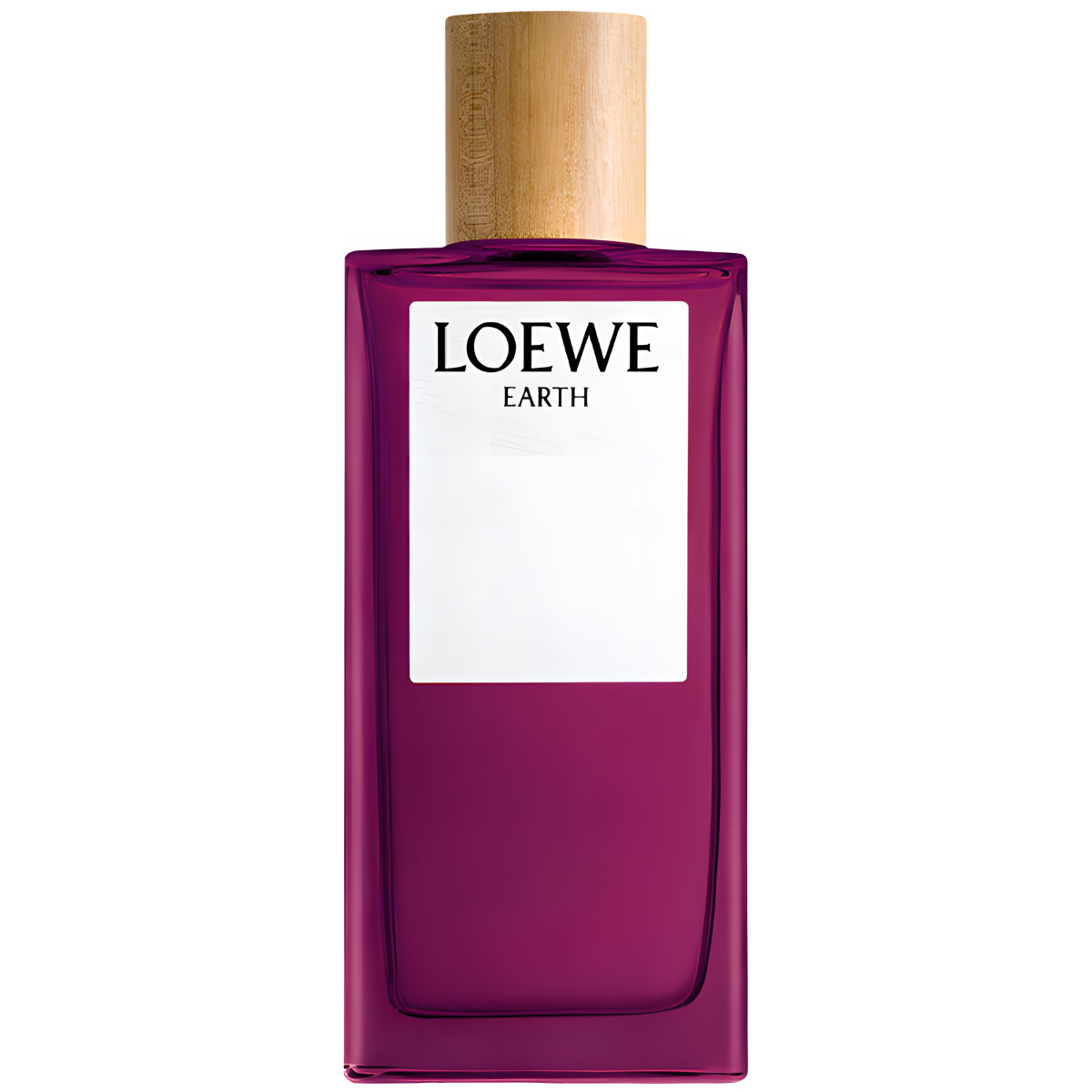 Loewe Earth