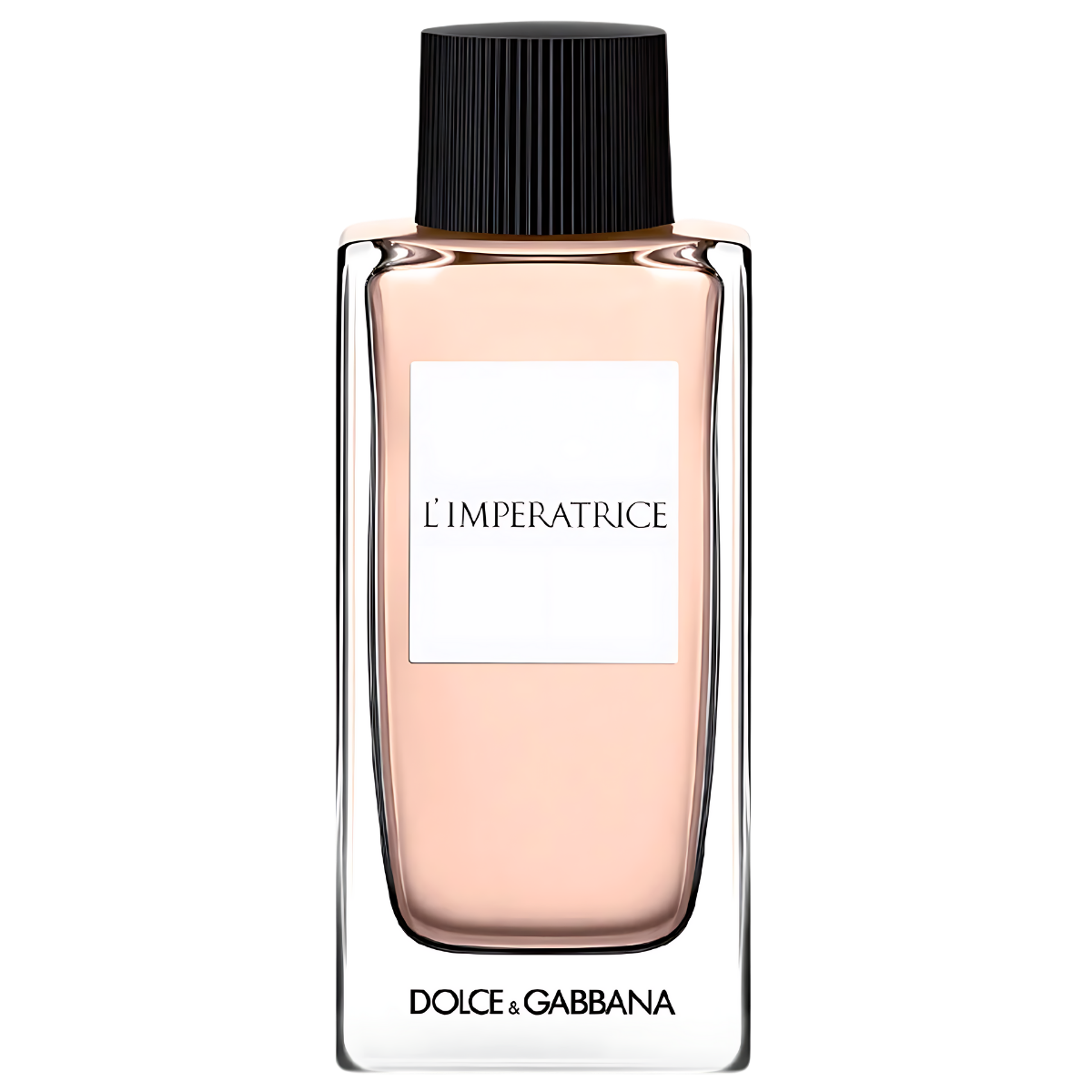 Dolce & Gabbana Anthology L'imperatrice 3