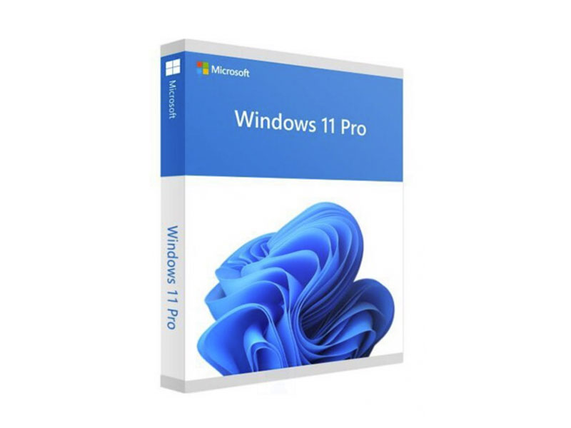 Windows 11 Pro 64-bit All Lng PK Lic Online DwnLd NR FQC-10572 - Key ONLINE