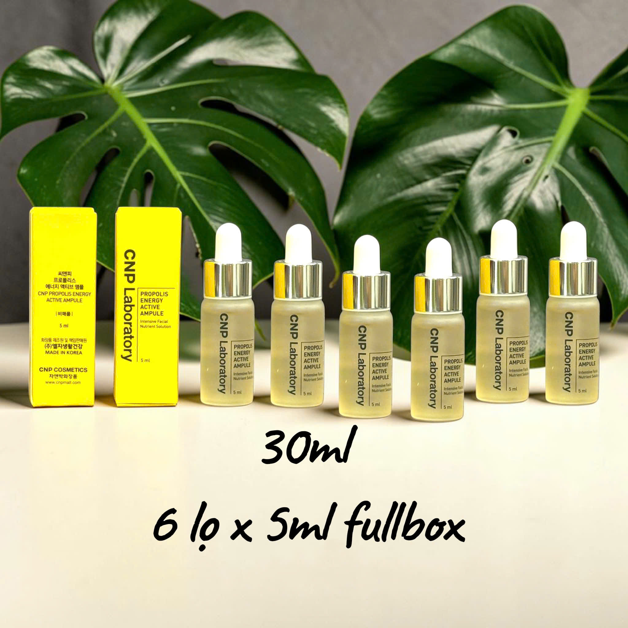 CNP Propolis Energy Active Ampule, 6 lọ x 5ml fullbox