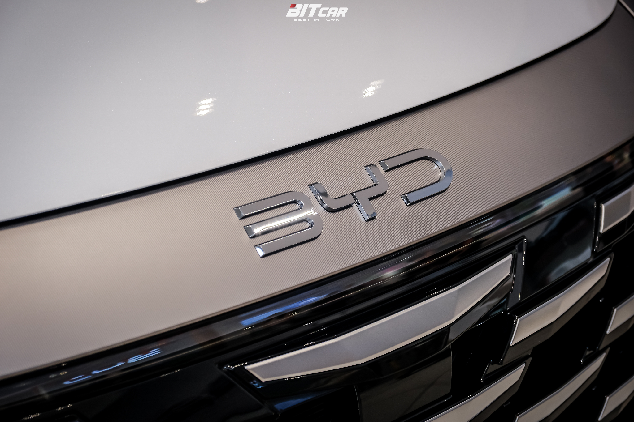 BYD-M9_MINT5655.jpg