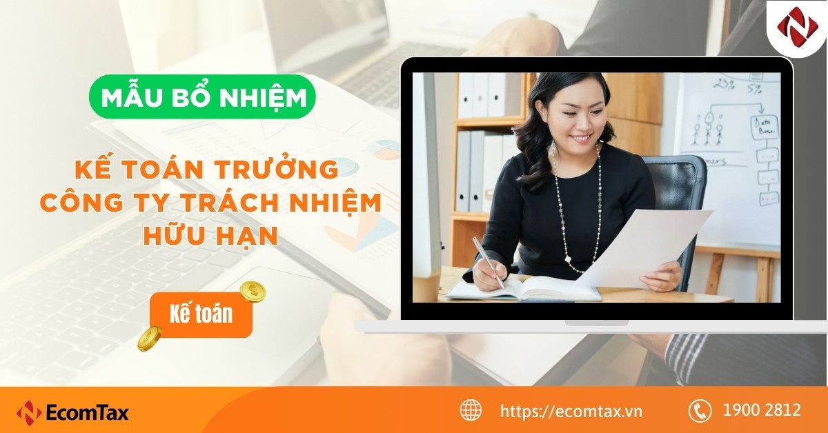 Mẫu bổ nhiệm kế toán trưởng Công ty Trách nhiệm hữu hạn