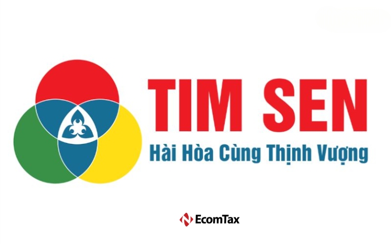 Dịch vụ kế toán Tim Sen