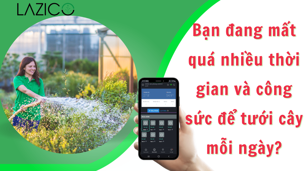 Bạn mất nhiều thời gian và công sức để tưới cây mỗi ngày? Đọc ngay bài viết dưới đây