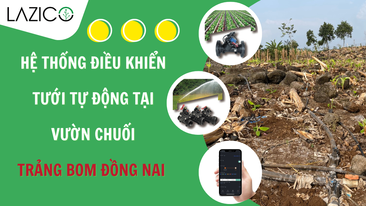 [ĐỒNG NAI] LAZICO Triển khai hệ thống điều khiển tưới tự động tại huyện Trảng Bom, tỉnh Đồng Nai