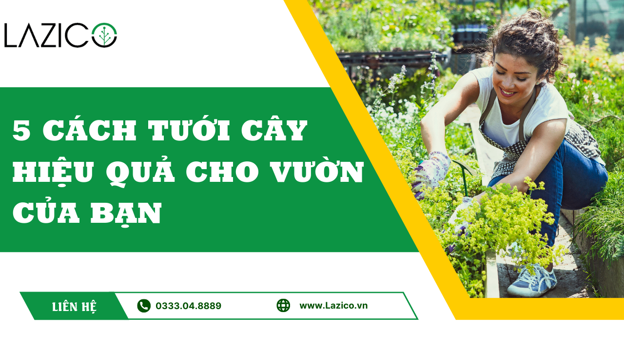 5 Cách Tưới Cây Hiệu Quả Cho Vườn Của Bạn - Giải Pháp Tiết Kiệm Nước và Tăng Năng Suất